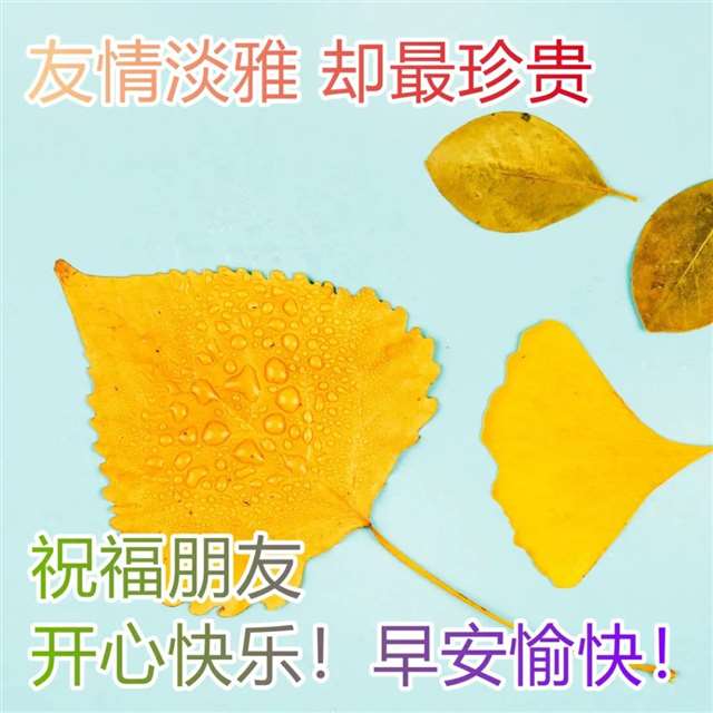 送给好朋友的暖心图片 最美早安祝福美图美句