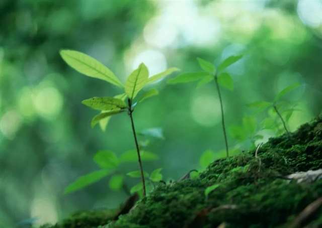 感觉自己被掏空的说说 空落落的伤感句子2022