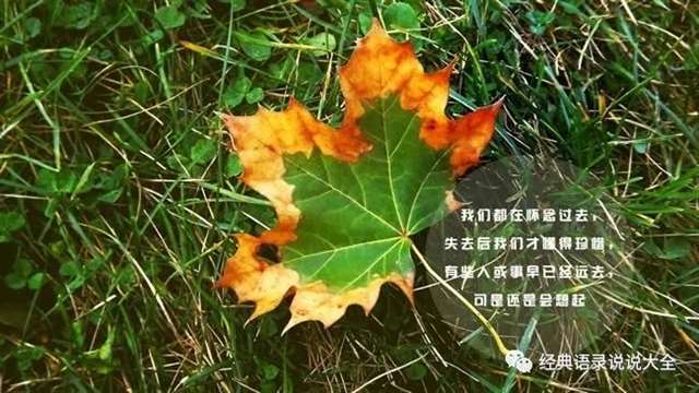 表达心里空空的句子,总有一句和你似曾相识!