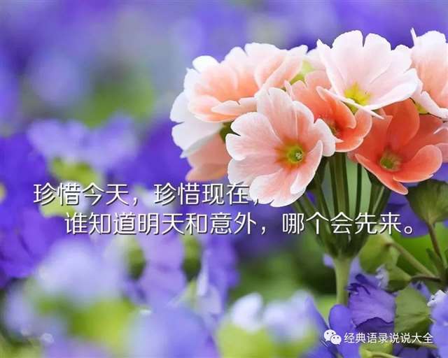 表达心里空空的句子,总有一句和你似曾相识!