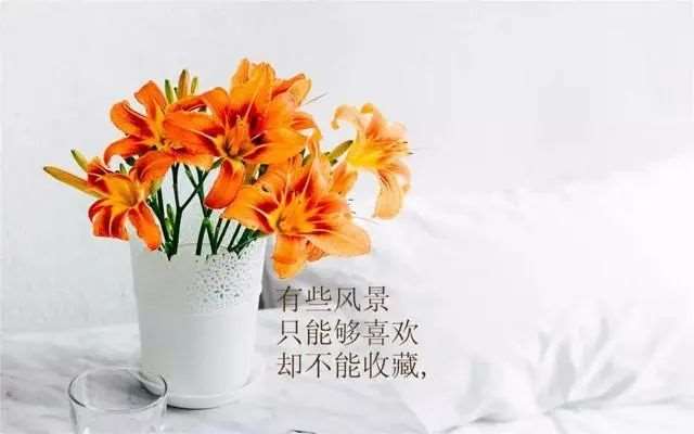 一段走心的语录,总有一句符合你的心情!