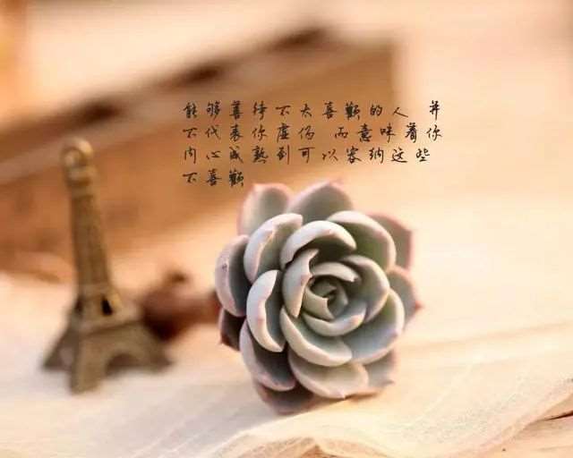 一段走心的语录,总有一句符合你的心情!