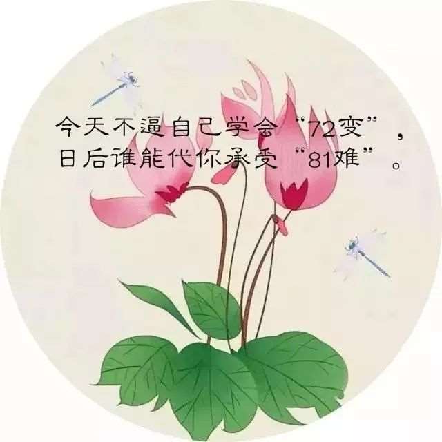 伤感的句子人生感悟,适合心情低落的朋友圈说说