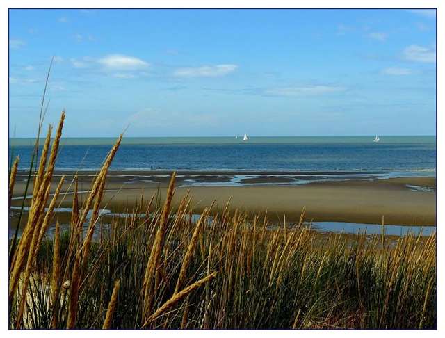 又短又入心的一段朋友圈说说,句句心碎,身同感受