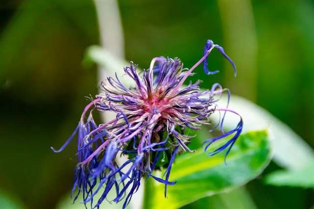 又短又入心的一段朋友圈说说,句句心碎,身同感受