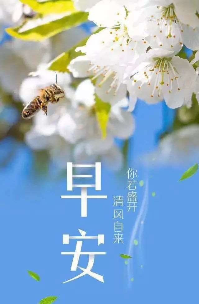 发朋友圈的经典早安句子说说心情