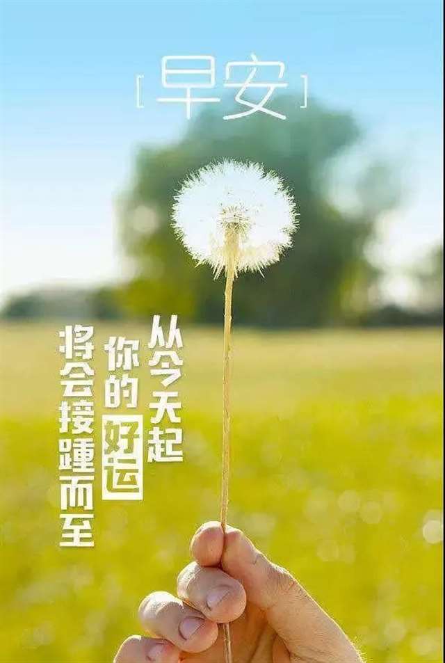 发朋友圈的经典早安句子说说心情