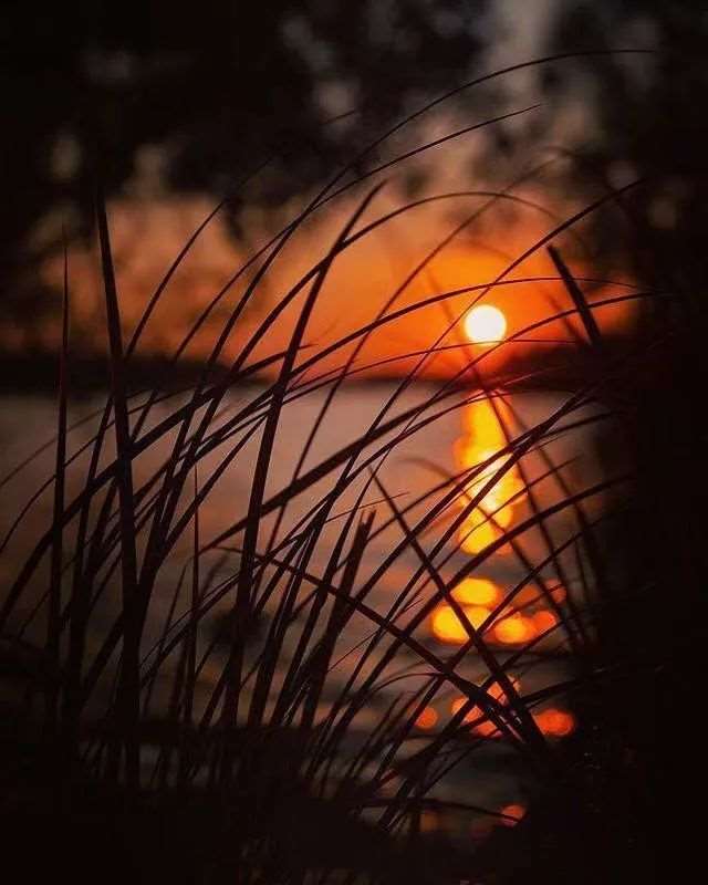 适合深夜发的短句说说,深夜致自己的说说!