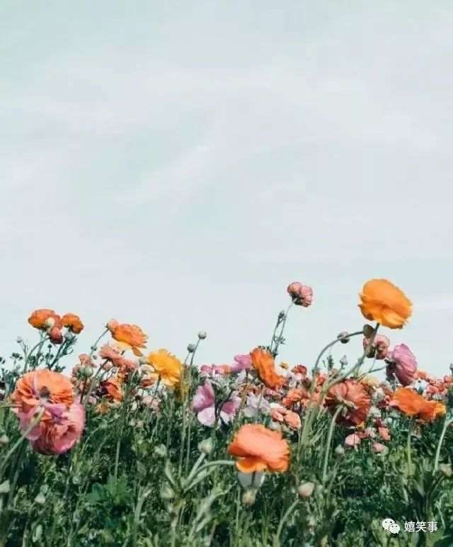 深夜一个人致自己的说说,句句心碎,看一眼都觉得伤心!