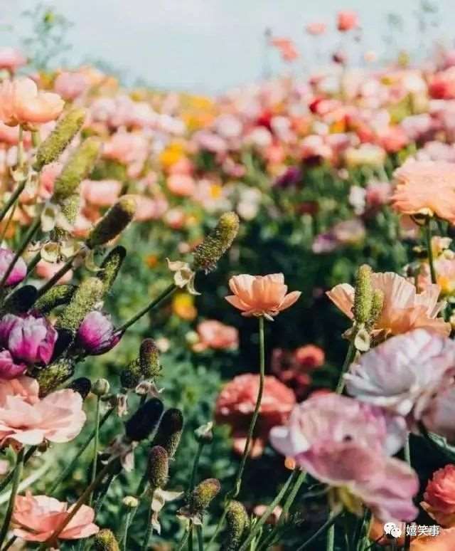 深夜一个人致自己的说说,句句心碎,看一眼都觉得伤心!