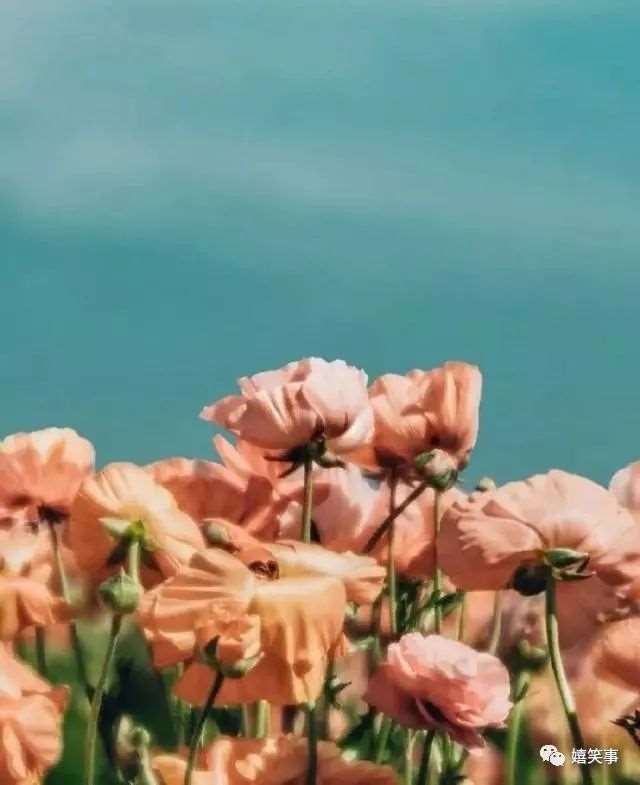 深夜一个人致自己的说说,句句心碎,看一眼都觉得伤心!