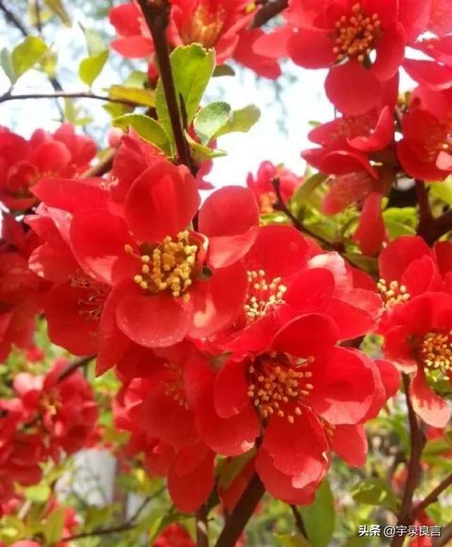 深夜写给自己的心情微语录,超精致超走心