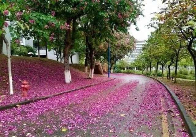 朋友圈致自己很哲理的心情语录说说,越看越喜欢