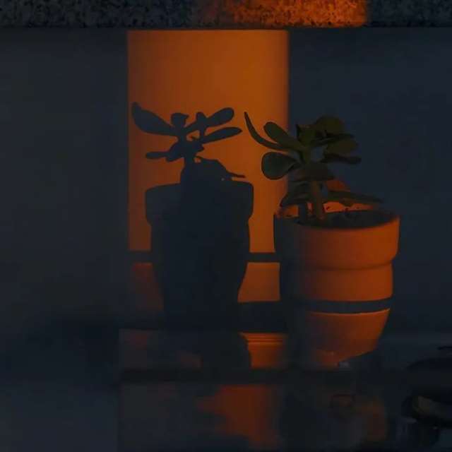 与“晚霞”有关的文案句子 ||落日黄昏晓,清风衬晚霞.