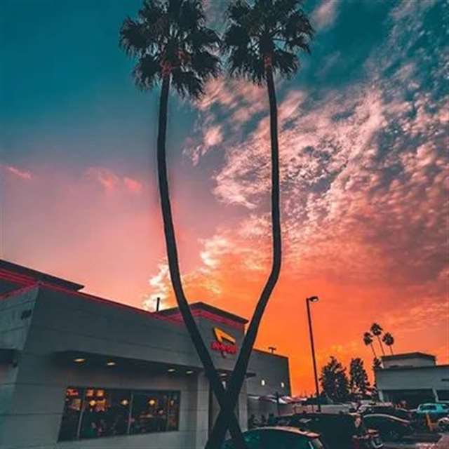 与“晚霞”有关的文案句子 ||落日黄昏晓,清风衬晚霞.