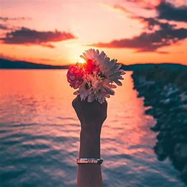 与“晚霞”有关的文案句子 ||落日黄昏晓,清风衬晚霞.