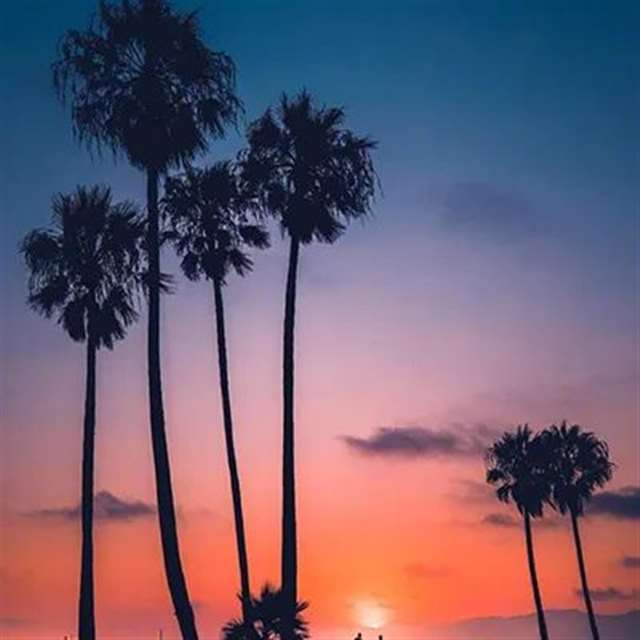 与“晚霞”有关的文案句子 ||落日黄昏晓,清风衬晚霞.