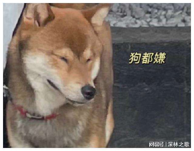 被厂里的少妇榨干了 工厂里的漂亮少妇性饥渴