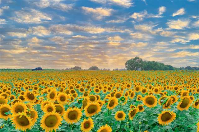 适合发朋友圈的好听句子!