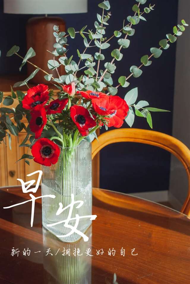 早安问候语录励志句子图片