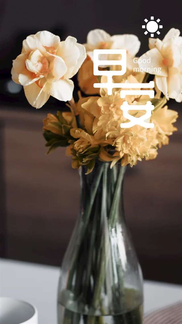 早安问候语录励志句子图片