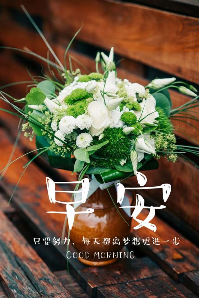 早安问候语录励志句子图片