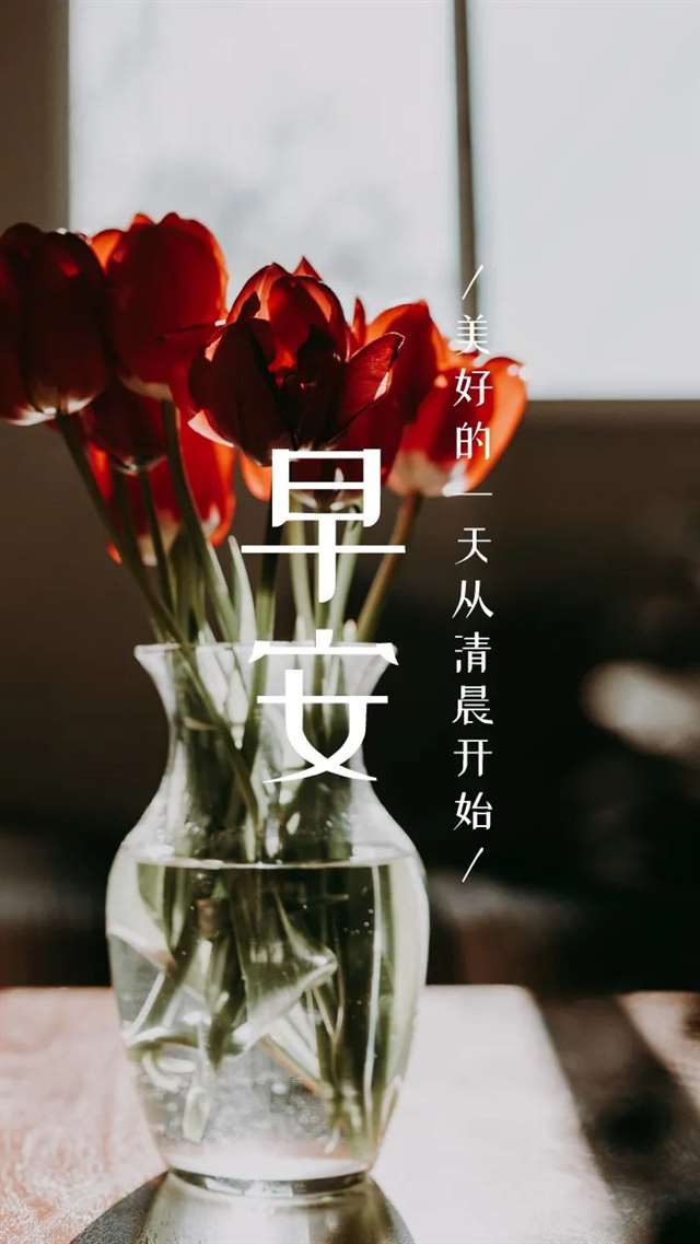 早安问候语录励志句子图片