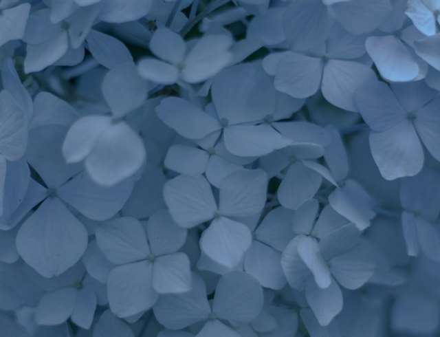 说到心坎的经典句子,句句走心