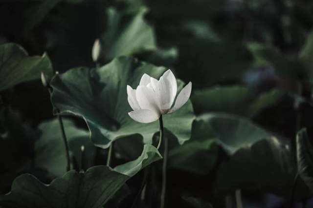 今年最讽刺的句子(精辟)