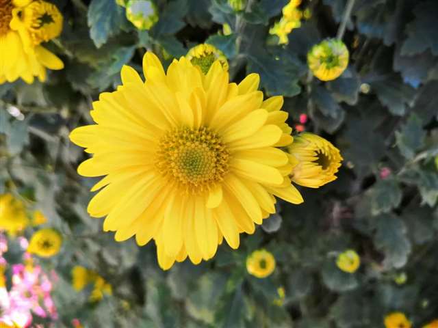 很精美的句子,发朋友圈吧