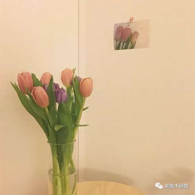 致自己的早安生活短句,拿去发朋友圈!