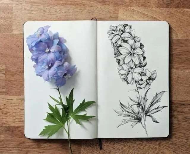 富含哲理的精辟晚安说说励志句子,孤独是上帝在提醒你,该充实自己了