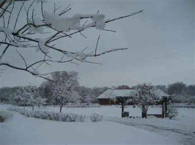 表示对某人心寒的句子