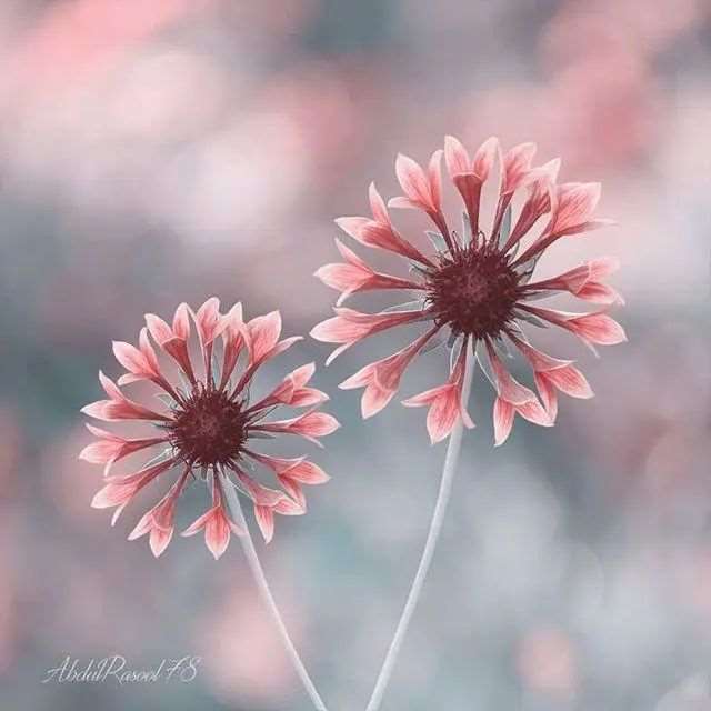 很现实窝心的句子