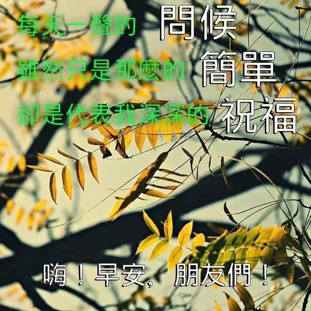 早安语录正能量语句,早安励志说说,越读越优秀!