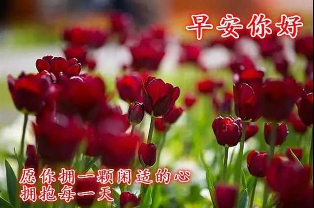 最新早安问好的句子 早安正能量说说