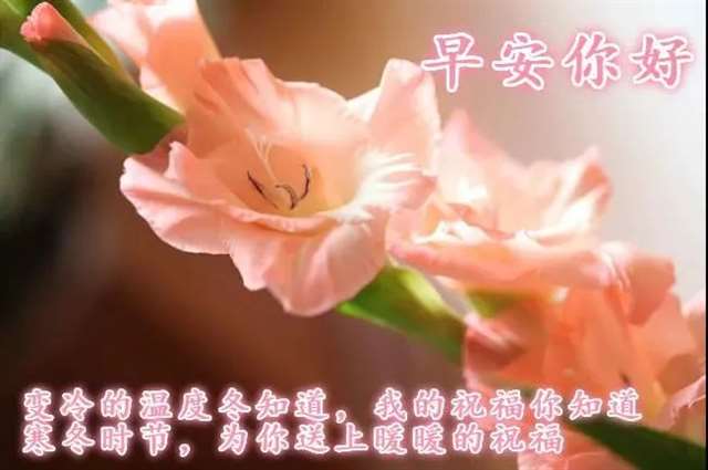 最新早安问好的句子 早安正能量说说