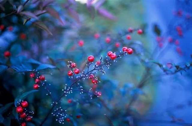 最新早安问好的句子 早安正能量说说