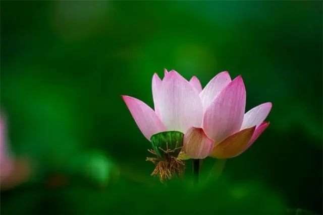 朋友圈很唯美的早安说说句子