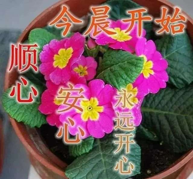 适合早晨发的说说短句,唯美早安语录激励人心的好句子!