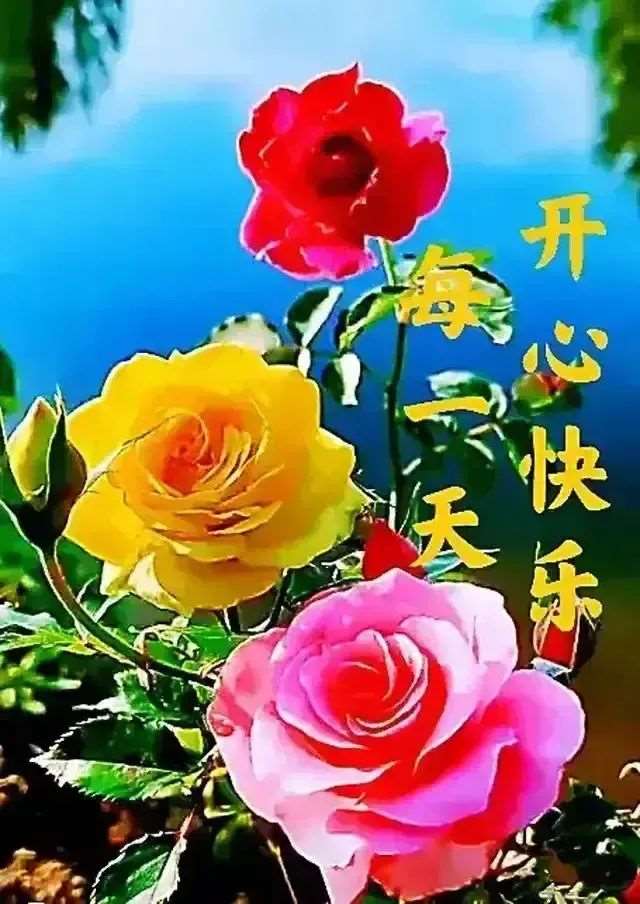 适合早晨发的说说短句,唯美早安语录激励人心的好句子!