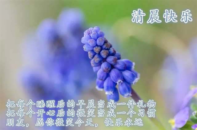 适合早晨发的说说短句,唯美早安语录激励人心的好句子!