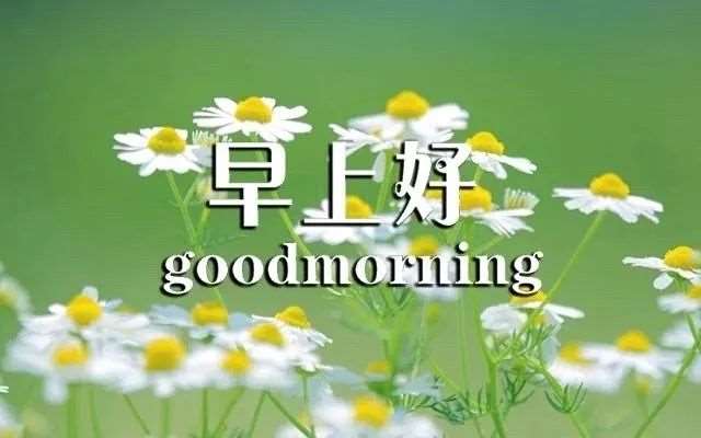 适合早晨发的说说短句,唯美早安语录激励人心的好句子!