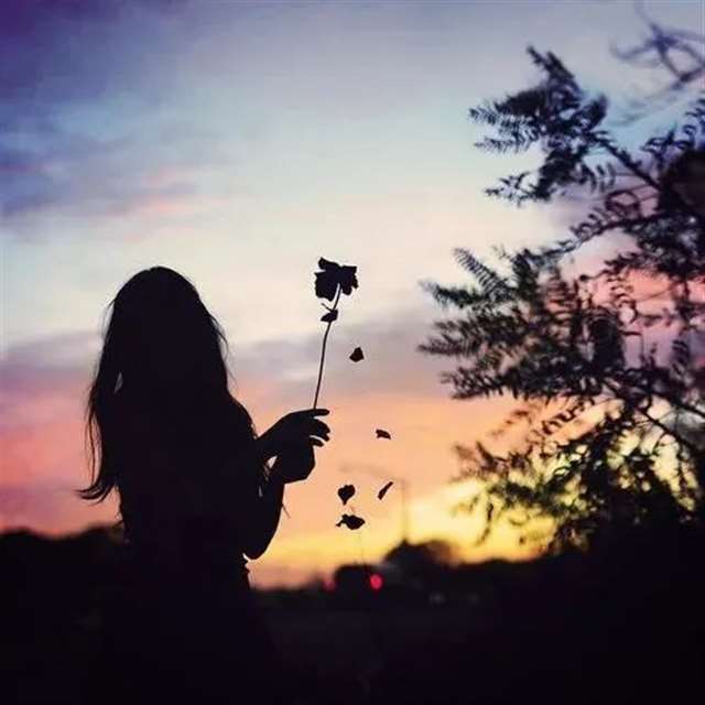 适合睡前发朋友圈晚安说说心情短句 简短温馨有哲理