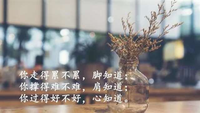 适合睡前发朋友圈晚安说说心情短句 简短温馨有哲理