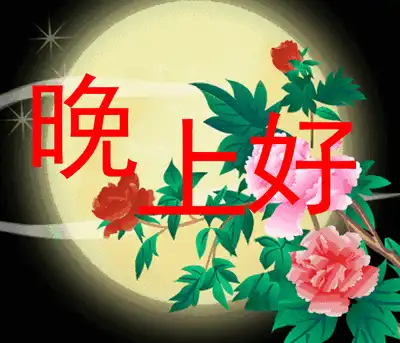 适合睡前发朋友圈晚安说说心情短句 简短温馨有哲理