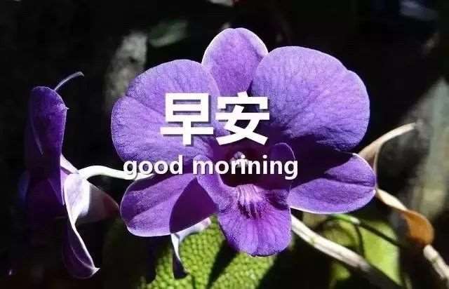 朋友圈最火的早安说说短句,微信朋友圈早安心语