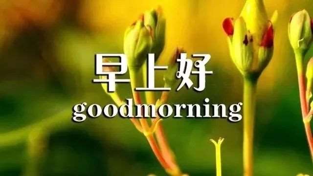 朋友圈最火的早安说说短句,微信朋友圈早安心语