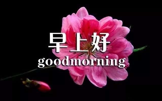 朋友圈最火的早安说说短句,微信朋友圈早安心语