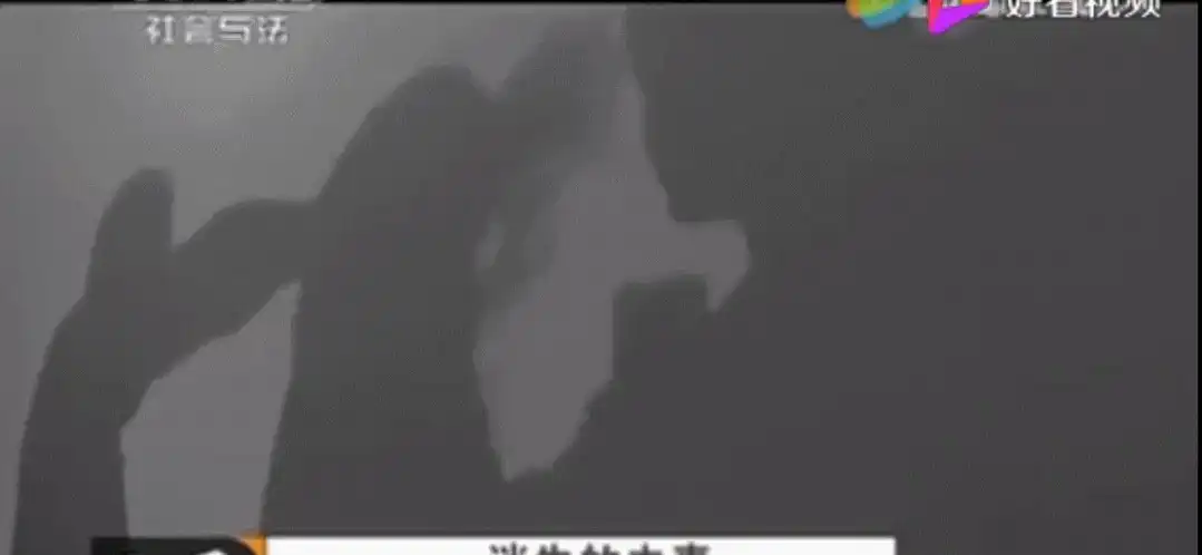              糟蹋h 挣扎         拍戏时真的进去了嗯啊h文